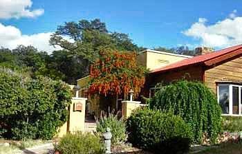 Spirit Tree Inn B&B Patagonia Exteriér fotografie